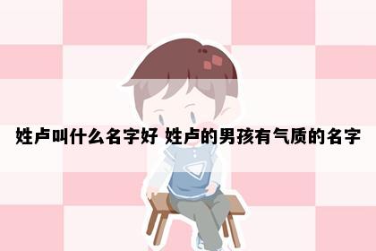 姓卢叫什么名字好 姓卢的男孩有气质的名字