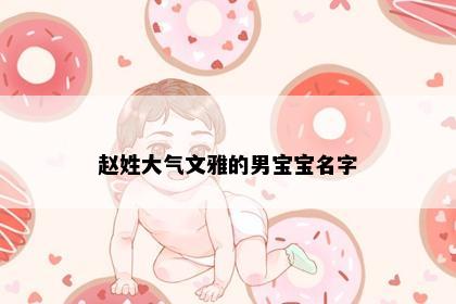 赵姓大气文雅的男宝宝名字