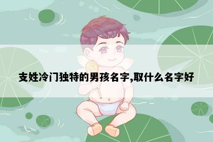支姓冷门独特的男孩名字,取什么名字好
