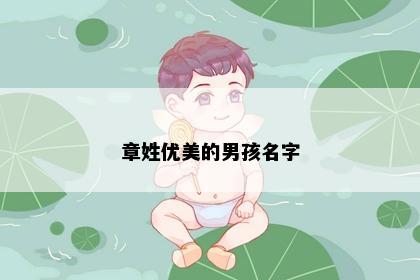 章姓优美的男孩名字